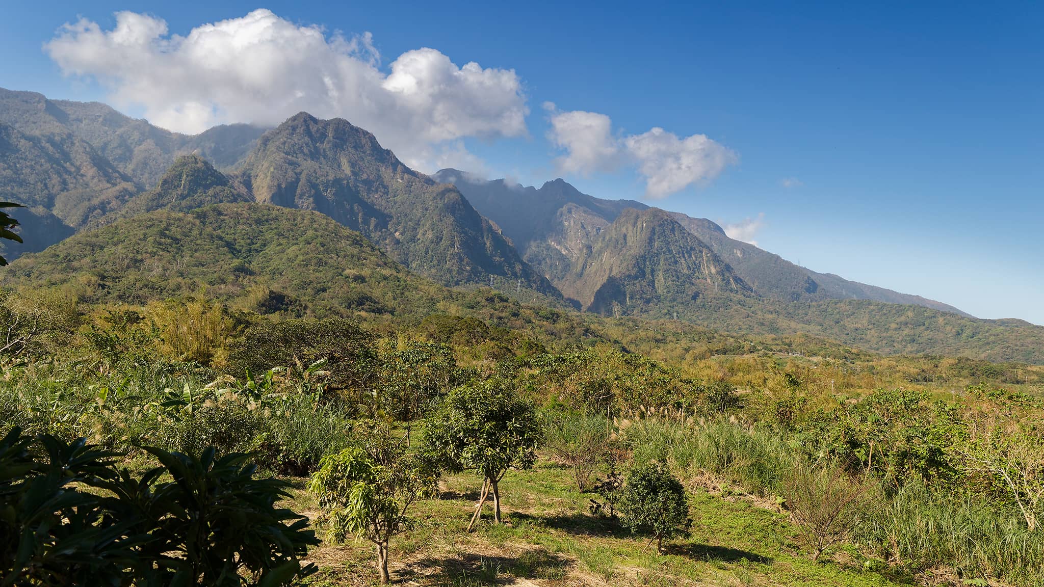 07 - Chishang (25).jpg